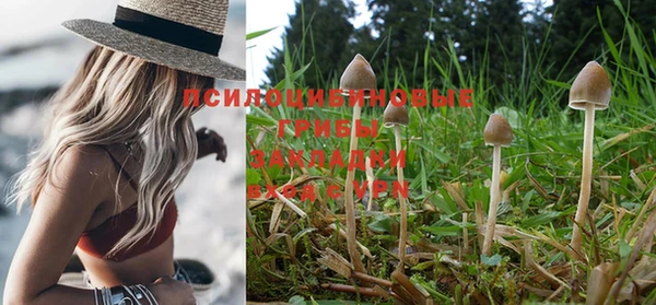 винт Баксан