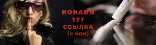шишки Покров