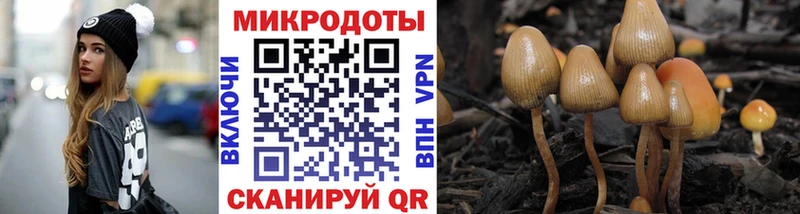 Галлюциногенные грибы Magic Shrooms  ссылка на мегу онион  Коломна 