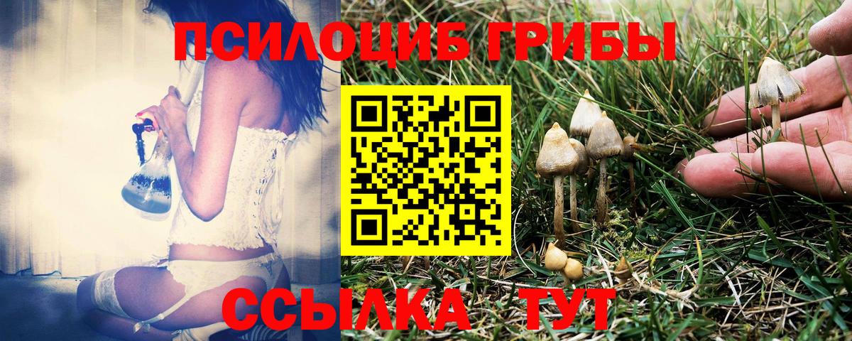 Галлюциногенные грибы Psilocybine cubensis  Галлюциногенные грибы мицелий  Вход с VPN  Коломна 