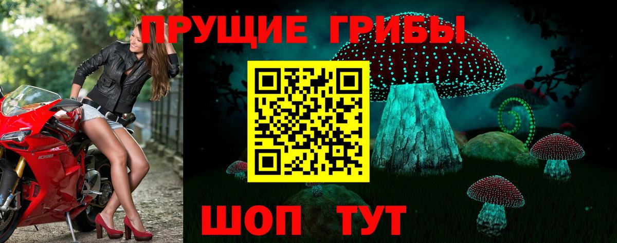 Галлюциногенные грибы Cubensis Коломна